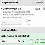 8 fold bet from 10 selections
